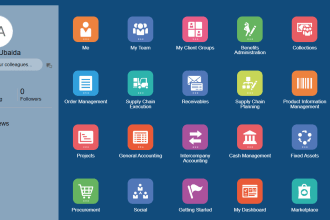your oracle ebs and fusion functional consultant
