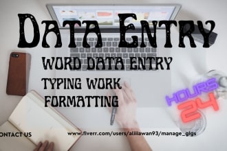 do website data entry, mistake less typing, excel data entry