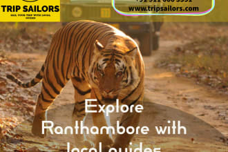 be your local tour guide for ranthambore national park, sawai madhopur, india