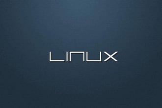do linux server related work