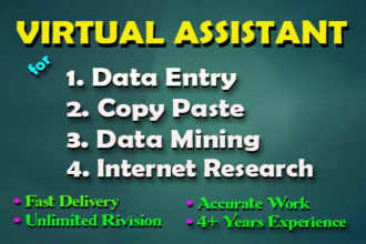 your virtual assistant for data entry, data mining, web research, copy paste