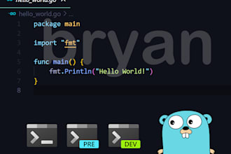 develop a custom program