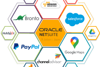 be your offshore netsuite team