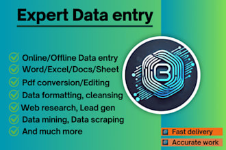 provide accurate datat entry, web research, and excel data cleaning services