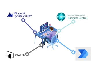 perform all customizations related to business central and navision