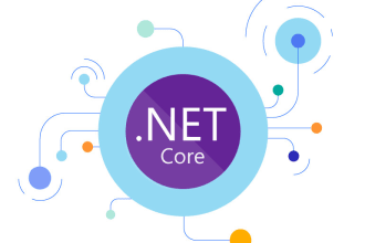 build asp net mvc ,asp net core professional web application