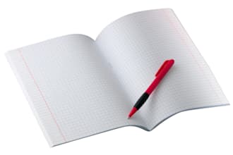write a 500 words on any subject