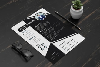 make professional cv resume, cv writing, resume template, cv design, cv editing