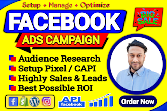 setup and manage facebook and instagram ads campaign