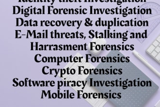 conduct computer forensics data protection cyber crime investigations