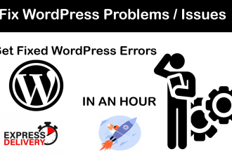 fix wordpress issues and problems in hours