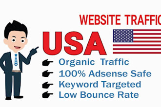 deliver real organic USA keyword targeted website traffic