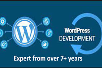 design a professional wordpress website or web design