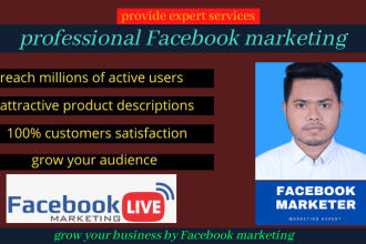 promote advertise to grow your business by facebook marketing