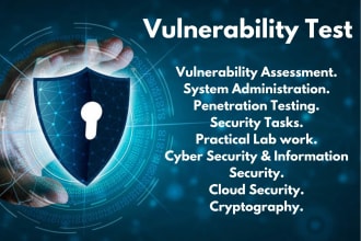 do a vulnerability test on your website or system