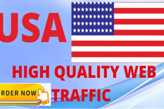 send niche targeting organic website traffic guaranteed