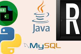 do data analysis with spss, excel, jasp, r, jmp, stata, excel, and python