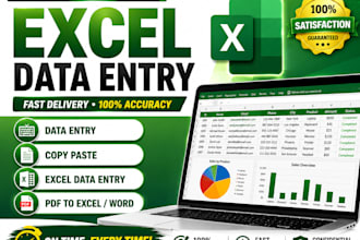 expert in excel data entry