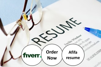 provide professional resume writing service