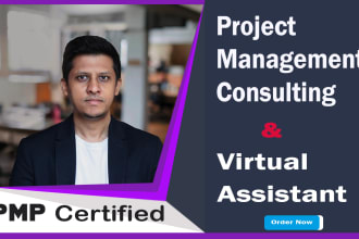 provide e2e project management consulting