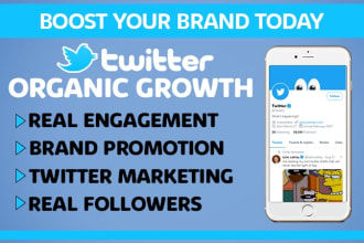 do fast organic twitter growth and nft promotion