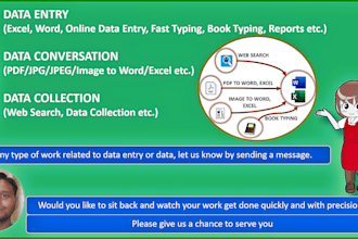 do data entry, excel, word, data conversion, pdf, jpg