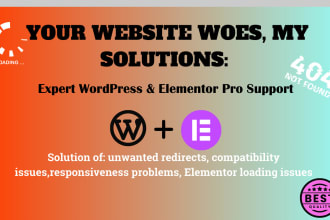 help you to fix any elementor problem wordpress issue or bug