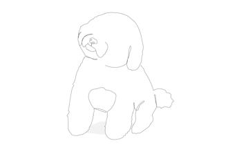 create minimalist continuous line art illustration pet portrait