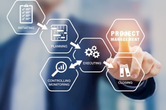 do project and business management, ms project,excel,powerpoint