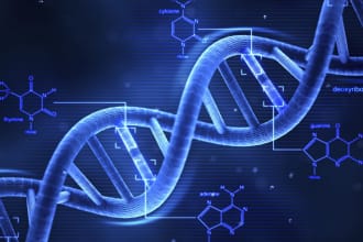 assist you in molecular biology,cell biology and genetics