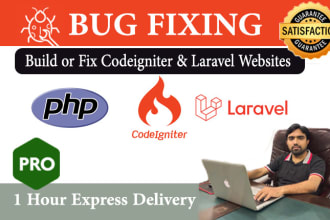 develop or fix any website in codeigniter, laravel, and core PHP