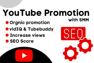 do organic youtube video SEO and promotion