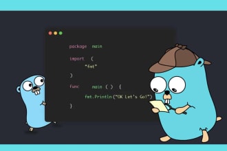 develop a golang project or support existing codebase