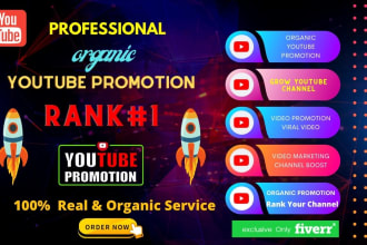 do super fast organic youtube video promotion with a niche relevant audience