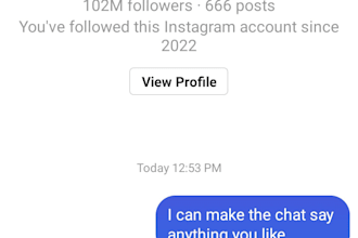 fake celebrity instagram dms