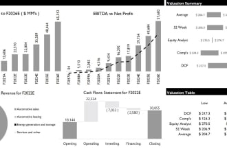 do business valuation and financial analysis for you
