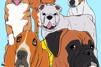 draw your pet into a cute cartoon pet