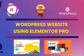 design a professional wordpress website and  landing page design with elementor