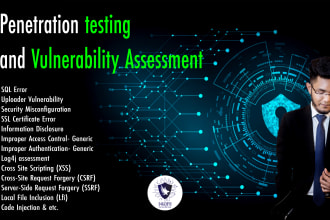 do vulnerability assessment and penetration test your website