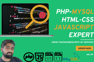 fix bugs from PHP, javascript, CSS, HTML, wordpress