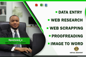 excel data entry, data mining, PDF to excel data entry and typing