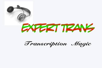 trANSCRIBE 20 Minutes Of Any English Audio Or Video