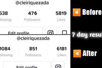 promote and grow your tiktok page organically