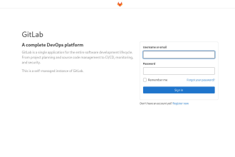 setup a dockerized gitlab ce or ee instance with runner, registry, https