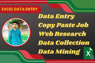 do excel data entry, copy paste task, web research, data collection, mining jobs