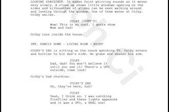 write film or tv screenplays for you