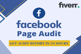 do specialized audit for your facebook and instagram business accounts