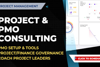 provide expert project and pmo consulting