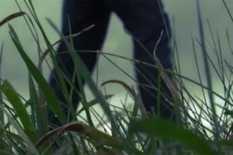 edit video and sound and colour correct to a professional standard