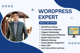 redesign, recreate or rebuild wordpress website with elementor